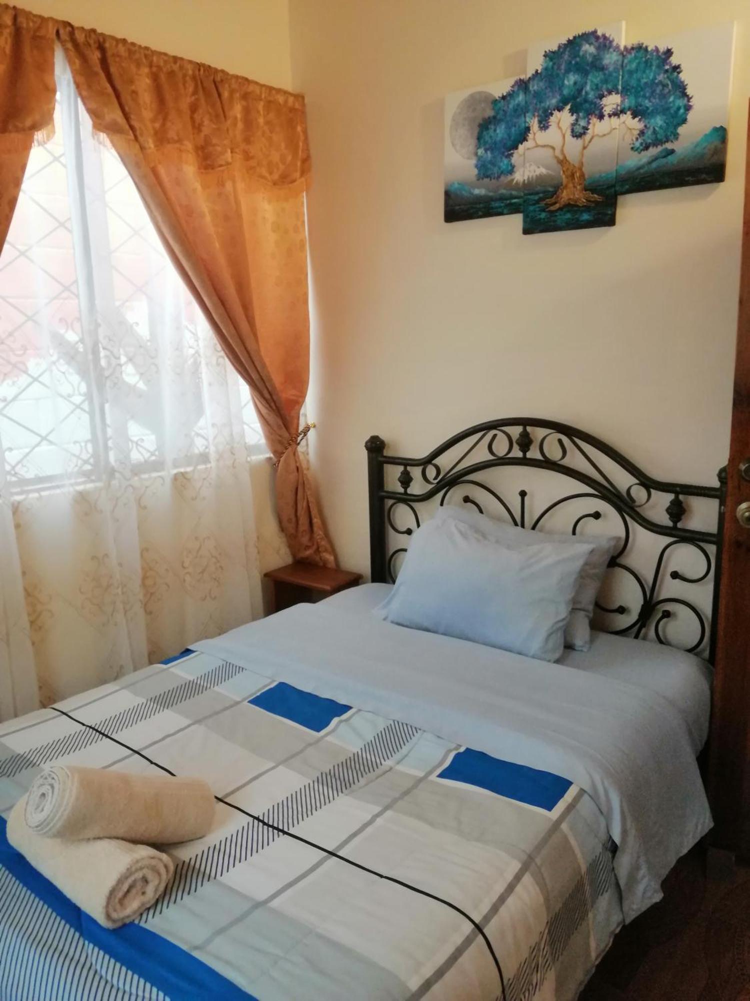 Home Capybara Stay Mindo Εξωτερικό φωτογραφία